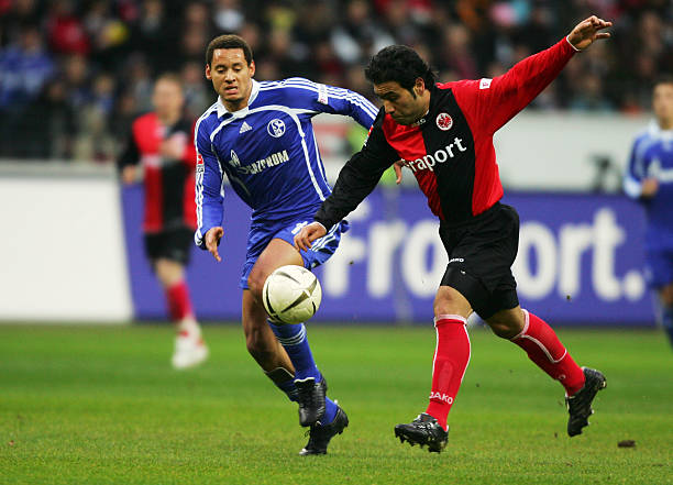 舆论反应 舆论反应